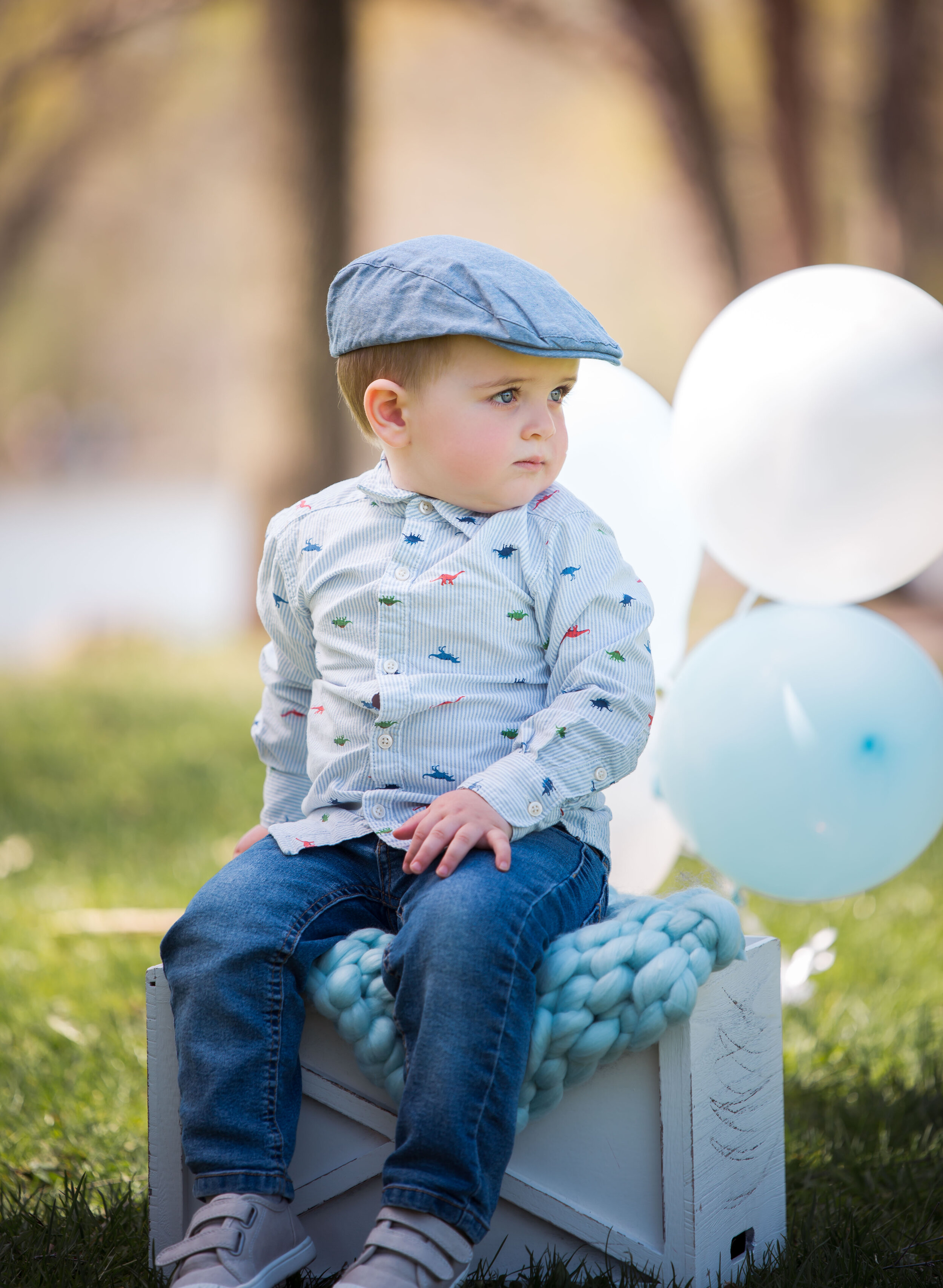 First Birthday Session- Lake in the Hills Photographer
