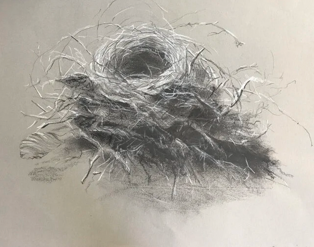 Drawing/Painting Class