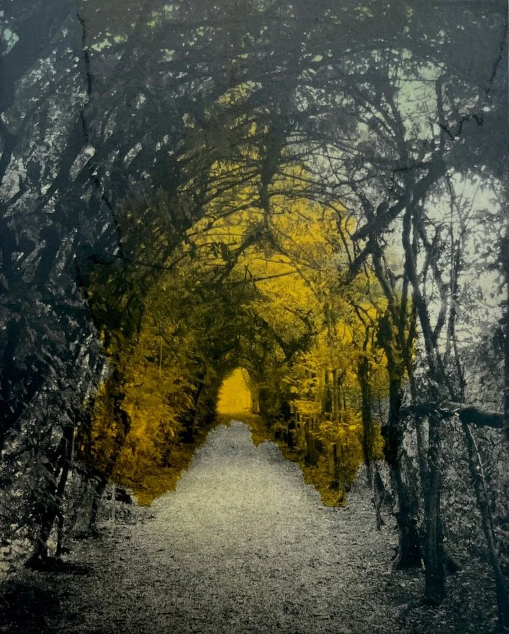 Follow the Gold, 8” x 10”, $350 (framed)