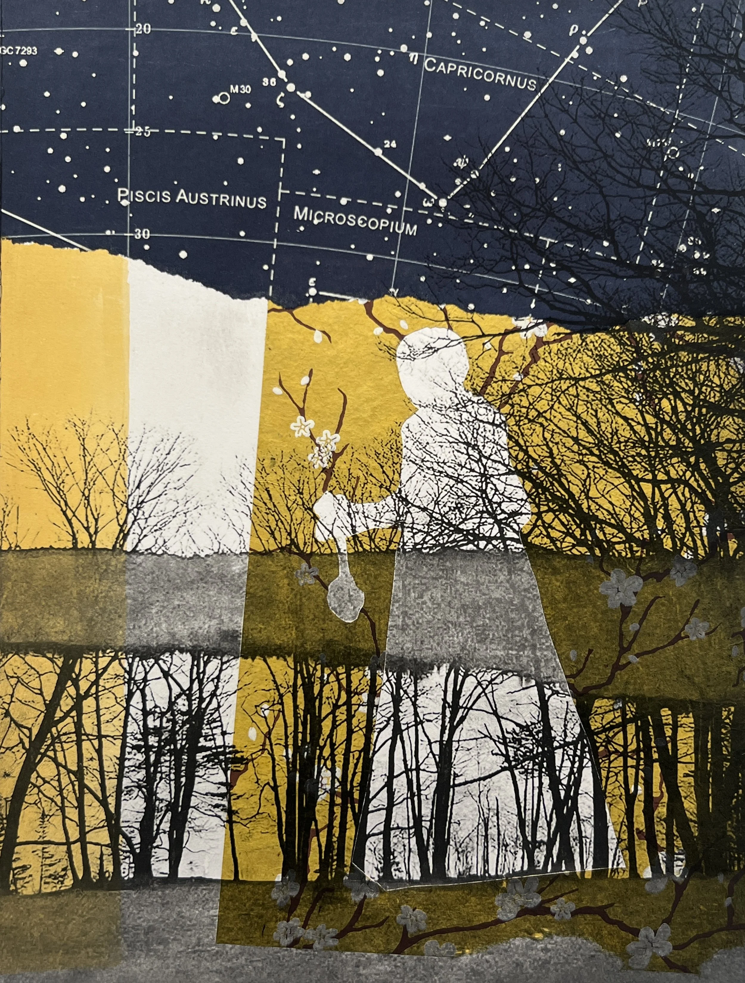 Searching, 12” x 16”, $850 (framed)