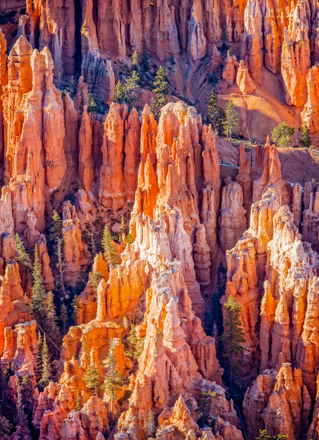 Bryce_Canyon_04_Sunset_Point.jpg