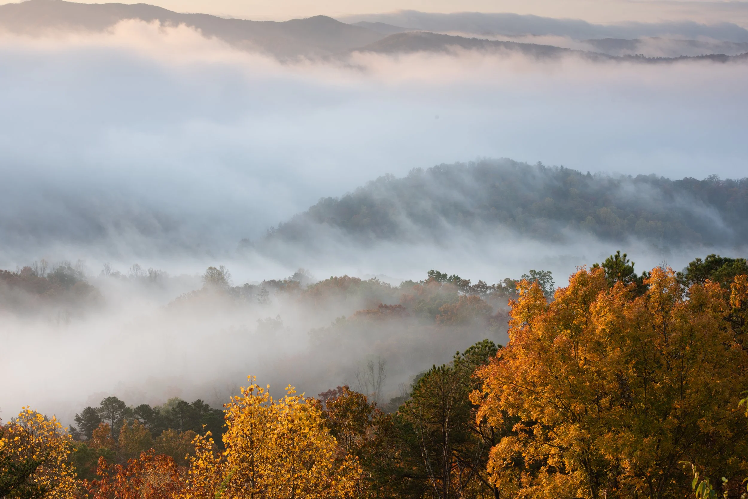 Bogle_171104_1597.jpg