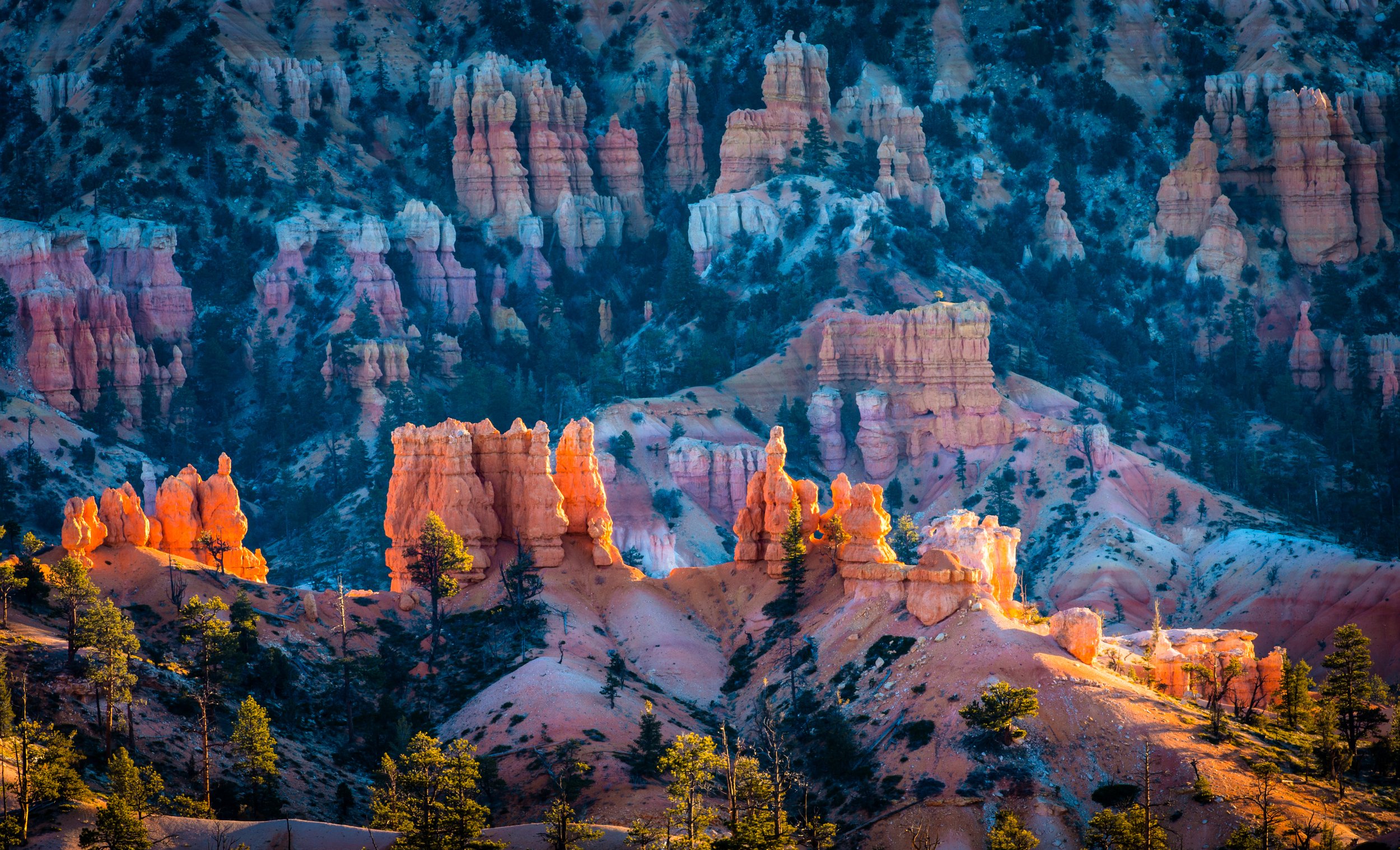 Bogle_140308_05505-Edit-2-Edit-2-Edit.jpg