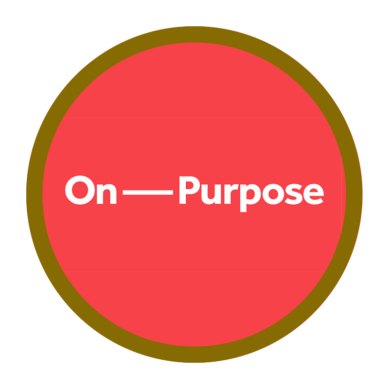 On Purpose — Social Enterprise Leadership Programme