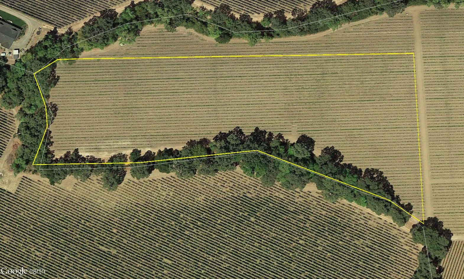 10.5 Acre Vineyard Estate Site - SOLD - $3,400,000