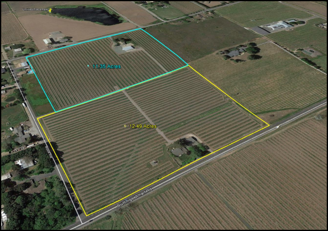 23.3 ACRE VINEYARD, Two Parcels - SOLD $3,800,000