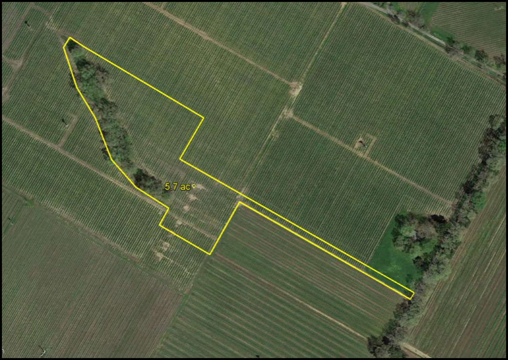 5.6 ACRE VINEYARD ESTATE BUILDING SITE - SOLD $3,500,000