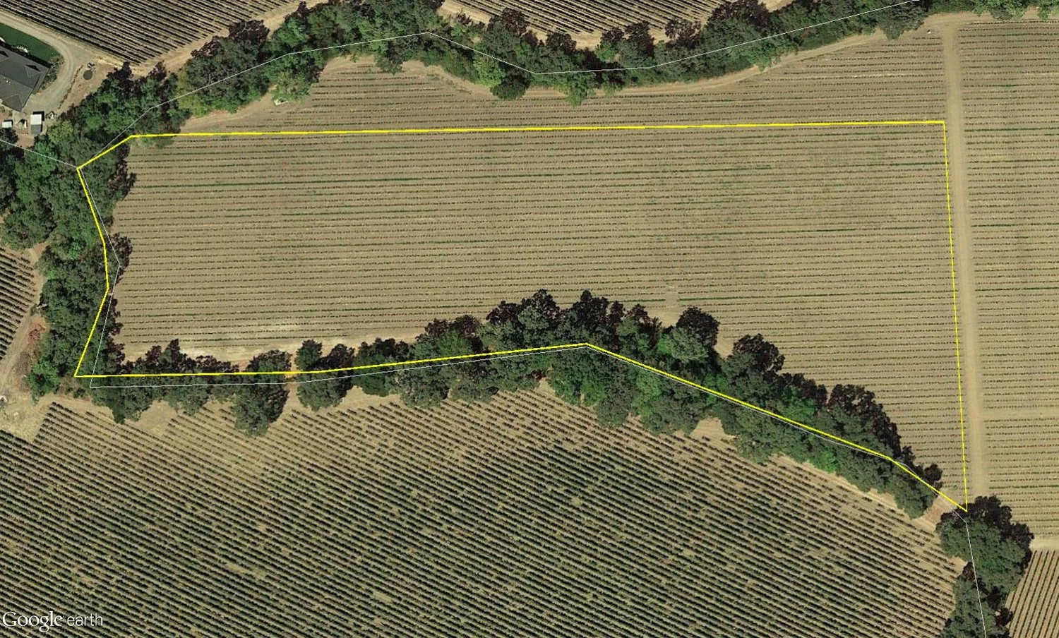 10.5 Acre Vineyard Estate Site - SOLD - $3,400,000