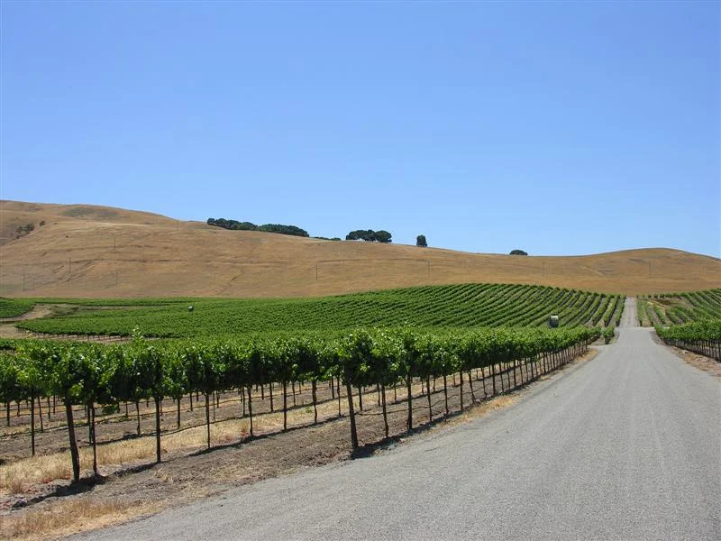 49.57 ACRES CARNEROS - SOLD - $5,250,000