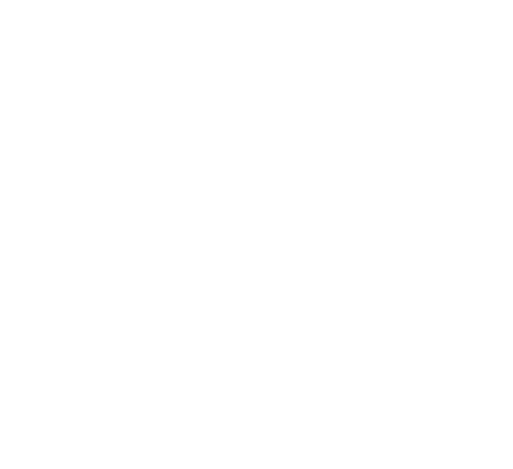 The official Lynx Logo