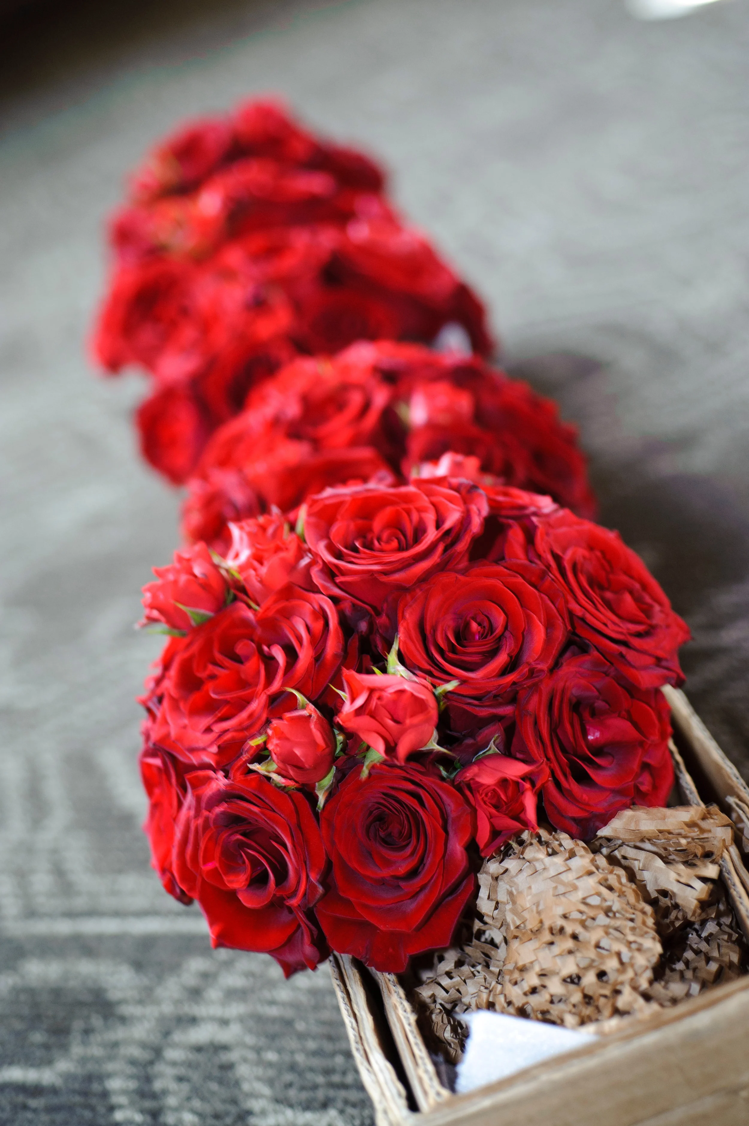 Jones-Martin Wedding 027a.jpg