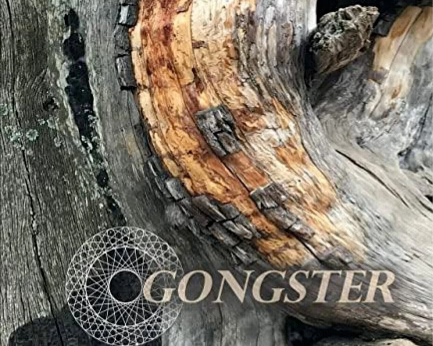 Gongster Music — Gongster