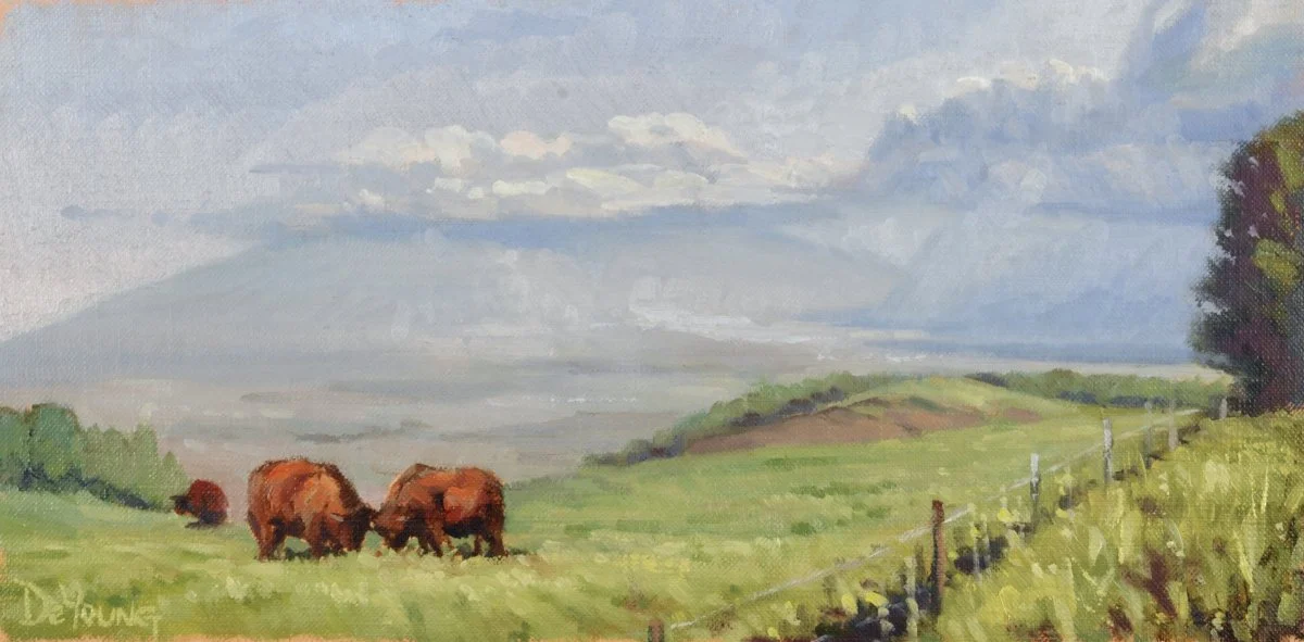 Makawao_Cows_website.jpeg