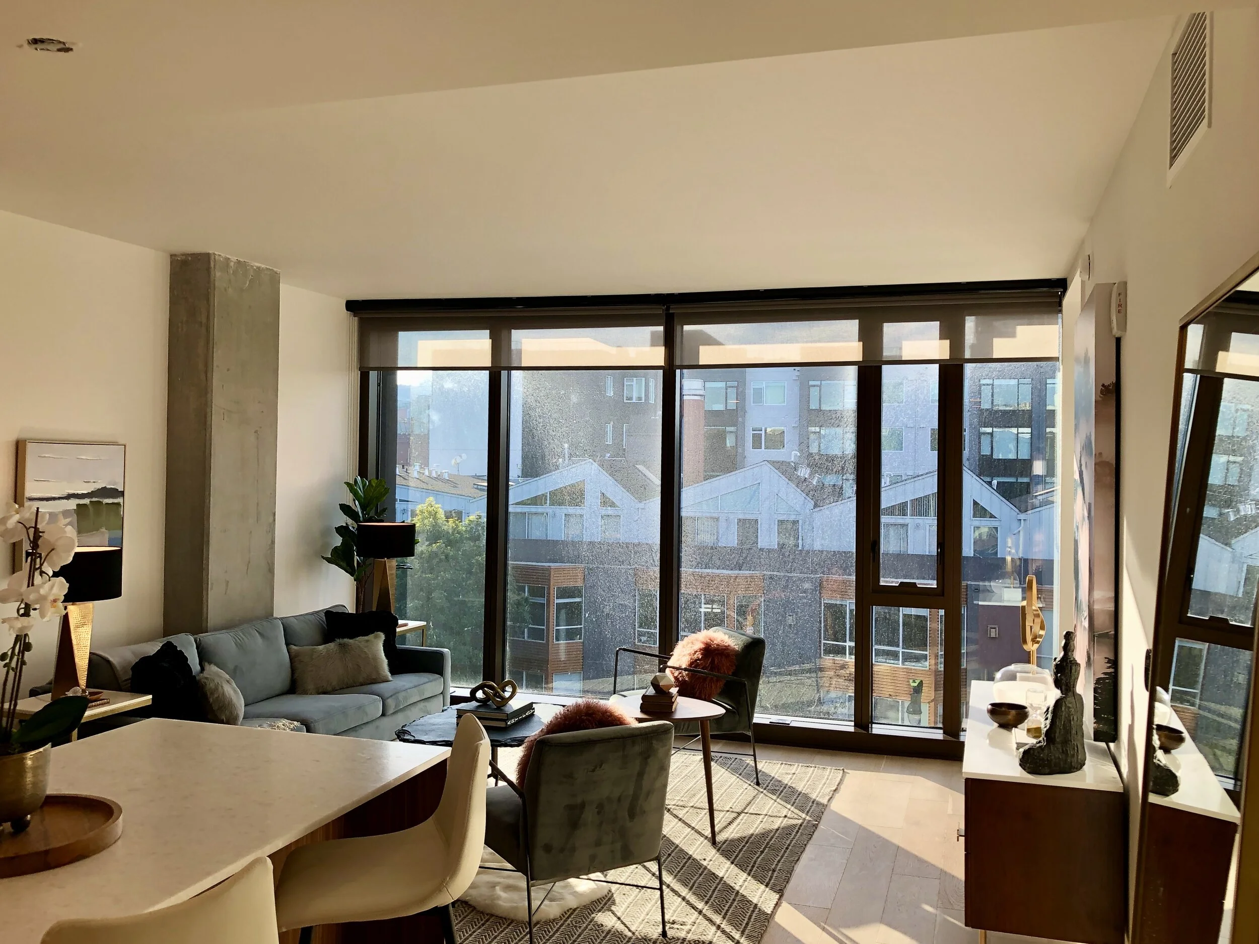 8A36E2F9-4F6A-48A0-9568-3F624E5D6C40_1_201_a 2.jpeg