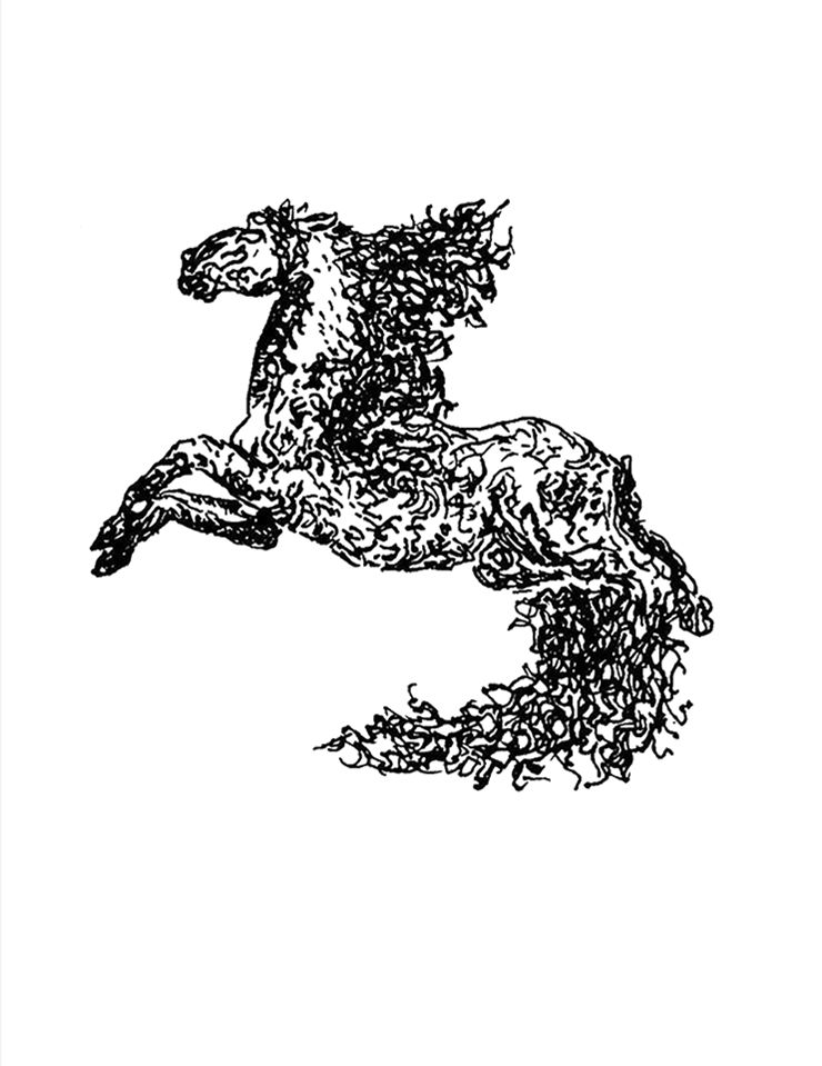 logo no background.png