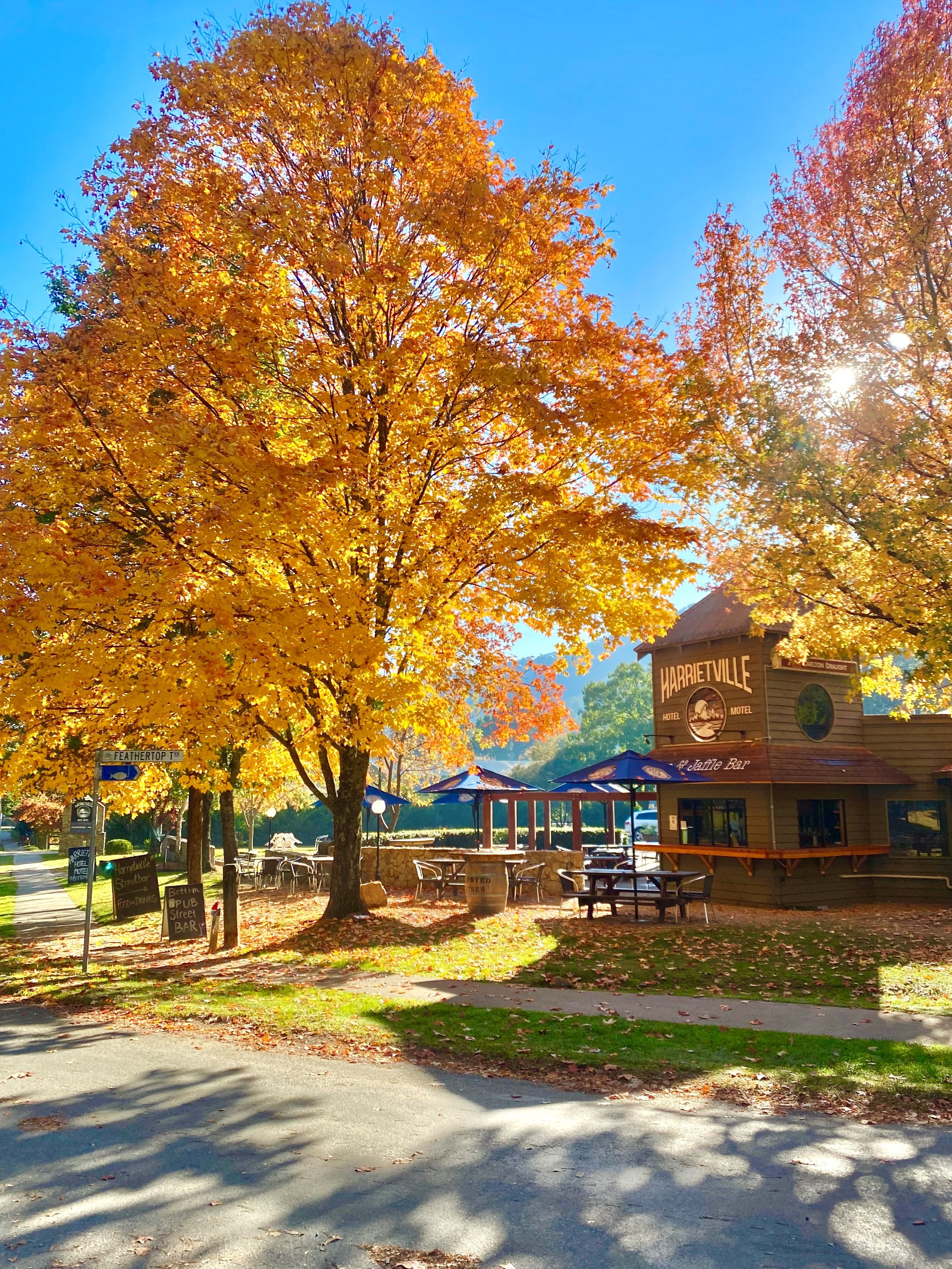 Pub Autumn Shot.jpg