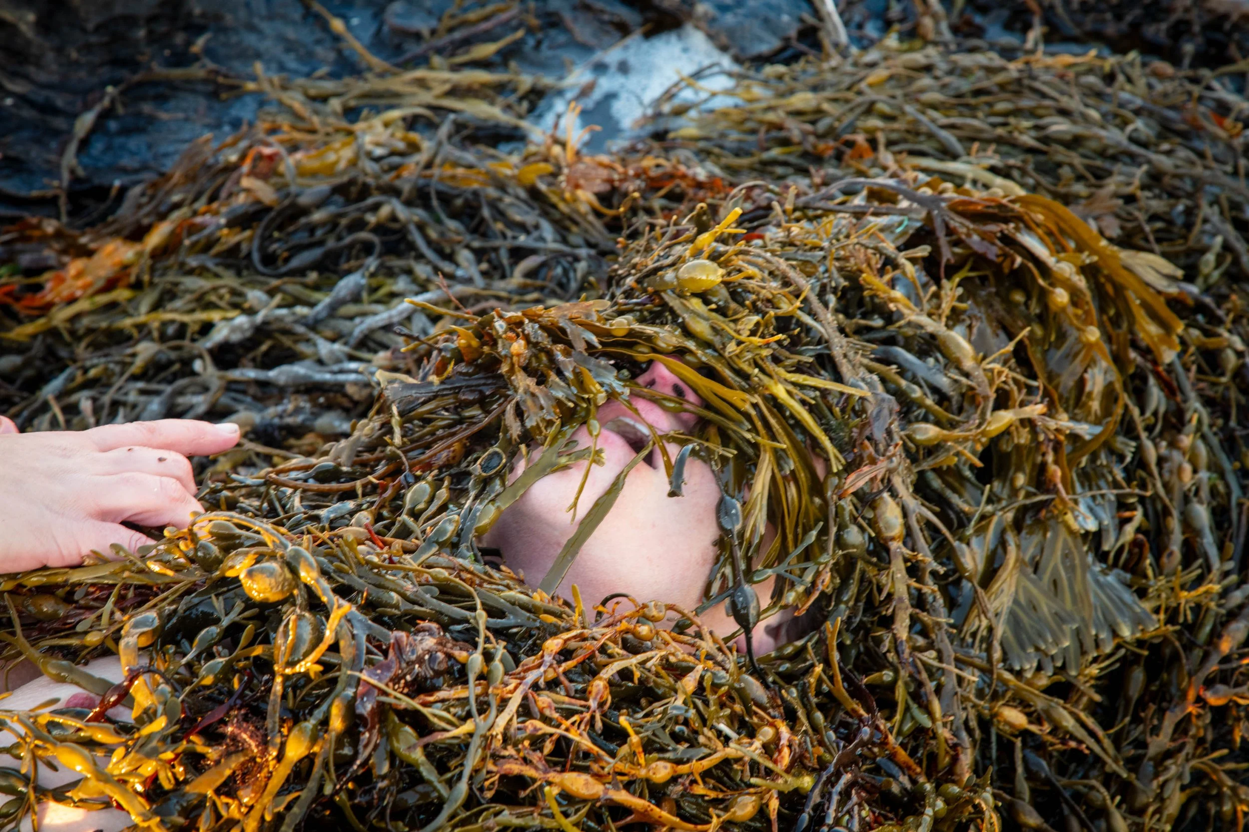 learning to breathe, 2026