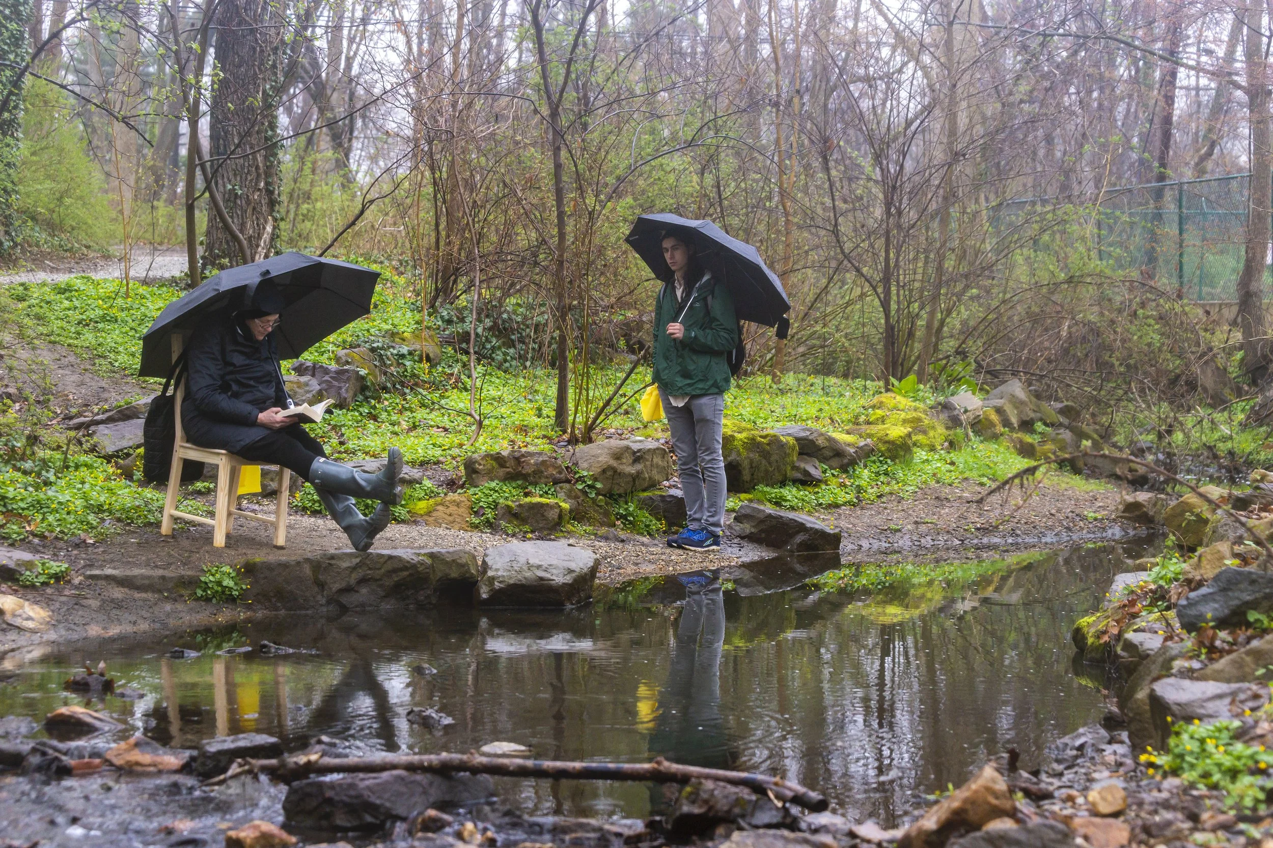 Marilyn Arsen_Nature Trail_dsc2301_Patrick Montero.jpg