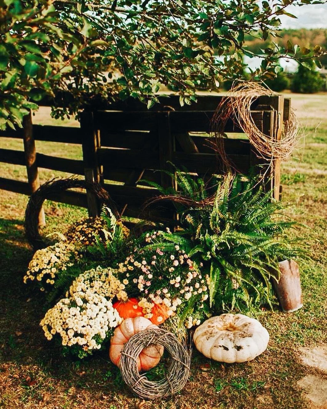 🍁🍂While it might be busy season here at the Farm, we always have a moment to stop and smell the pumpkins! 🤣 Don&rsquo;t you just LOVE Autumn? 🍂🍁