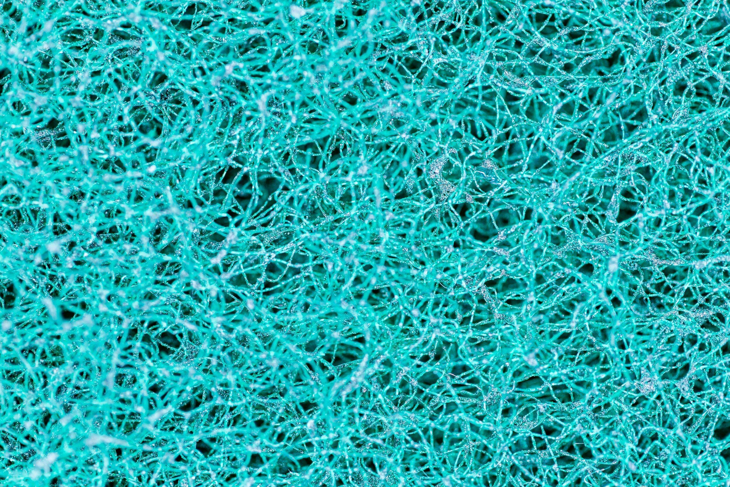 The Neurobiology of Autism