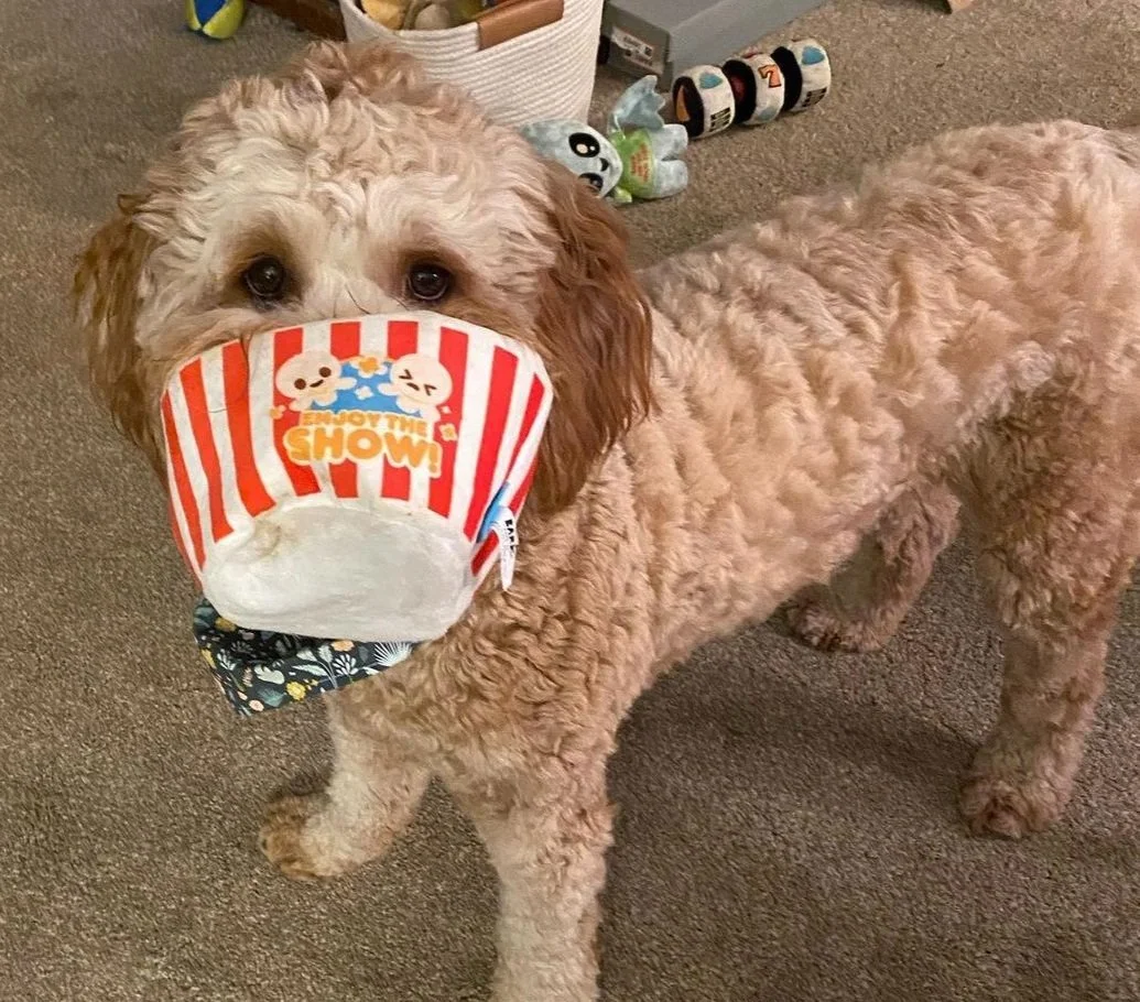 A Mental Health Break, with Penny!