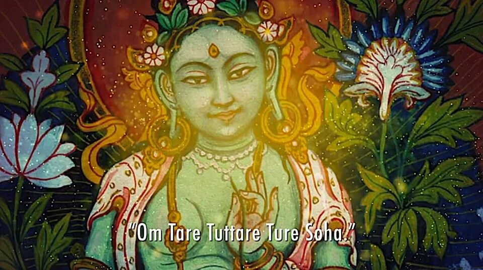 tara.jpg