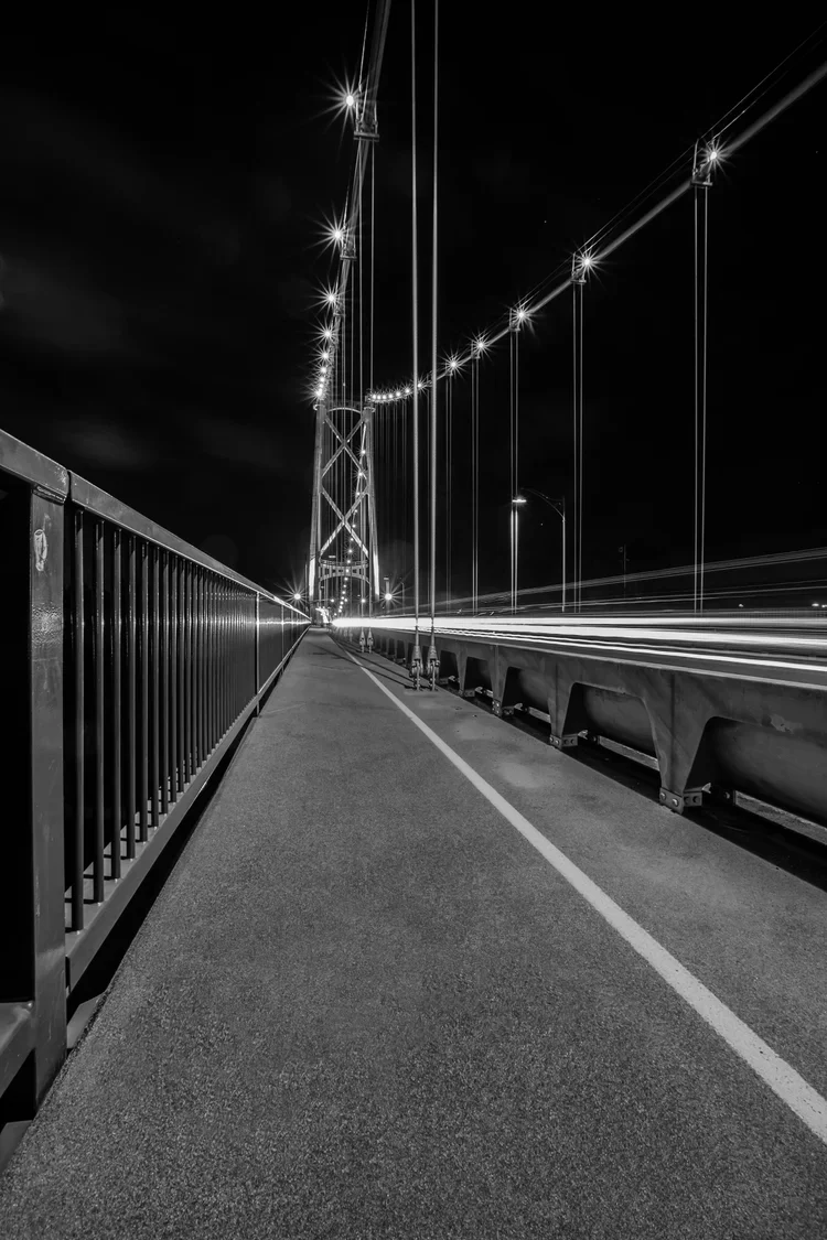 still_creative-lions-gate.webp