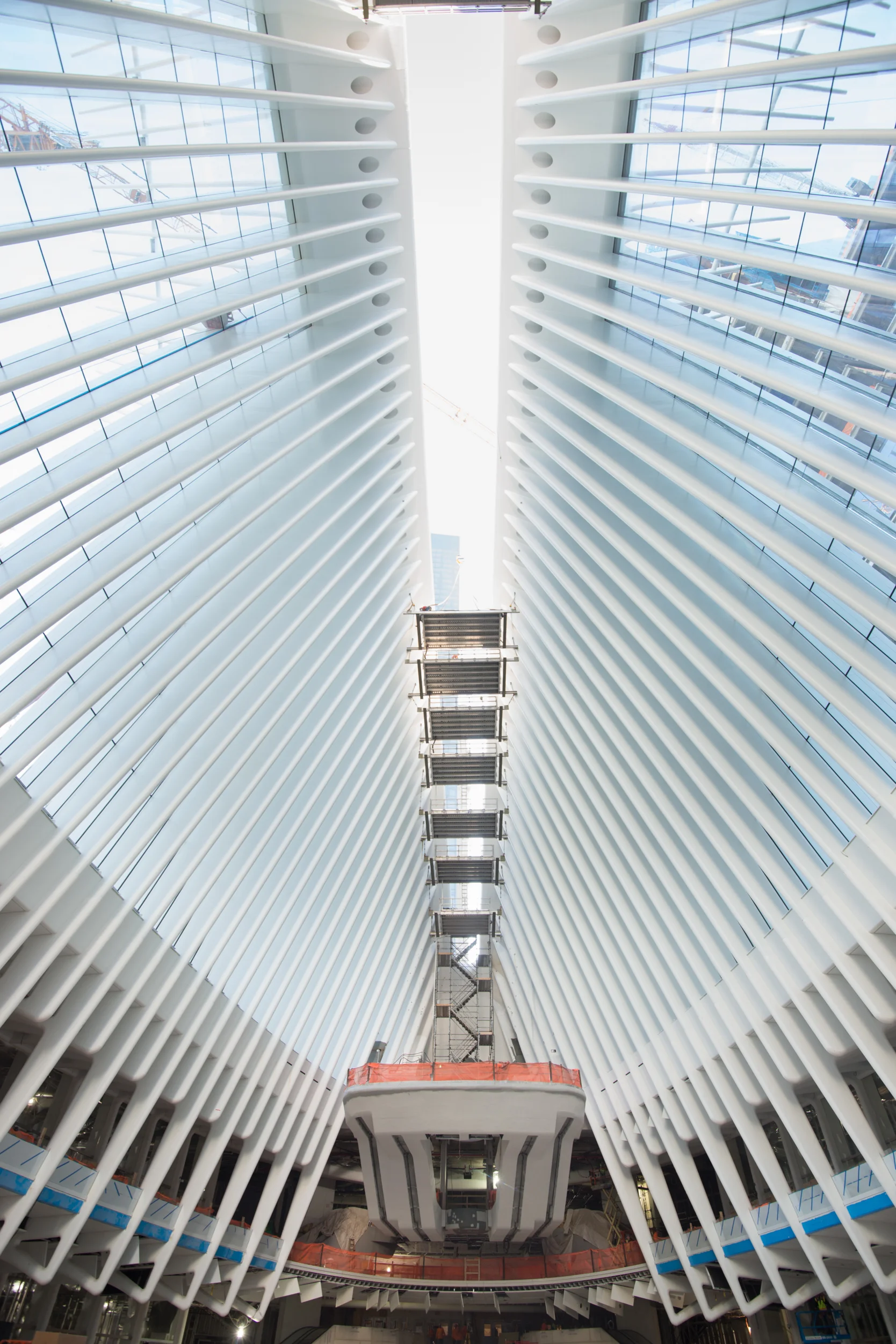 wtc111615_236.jpg