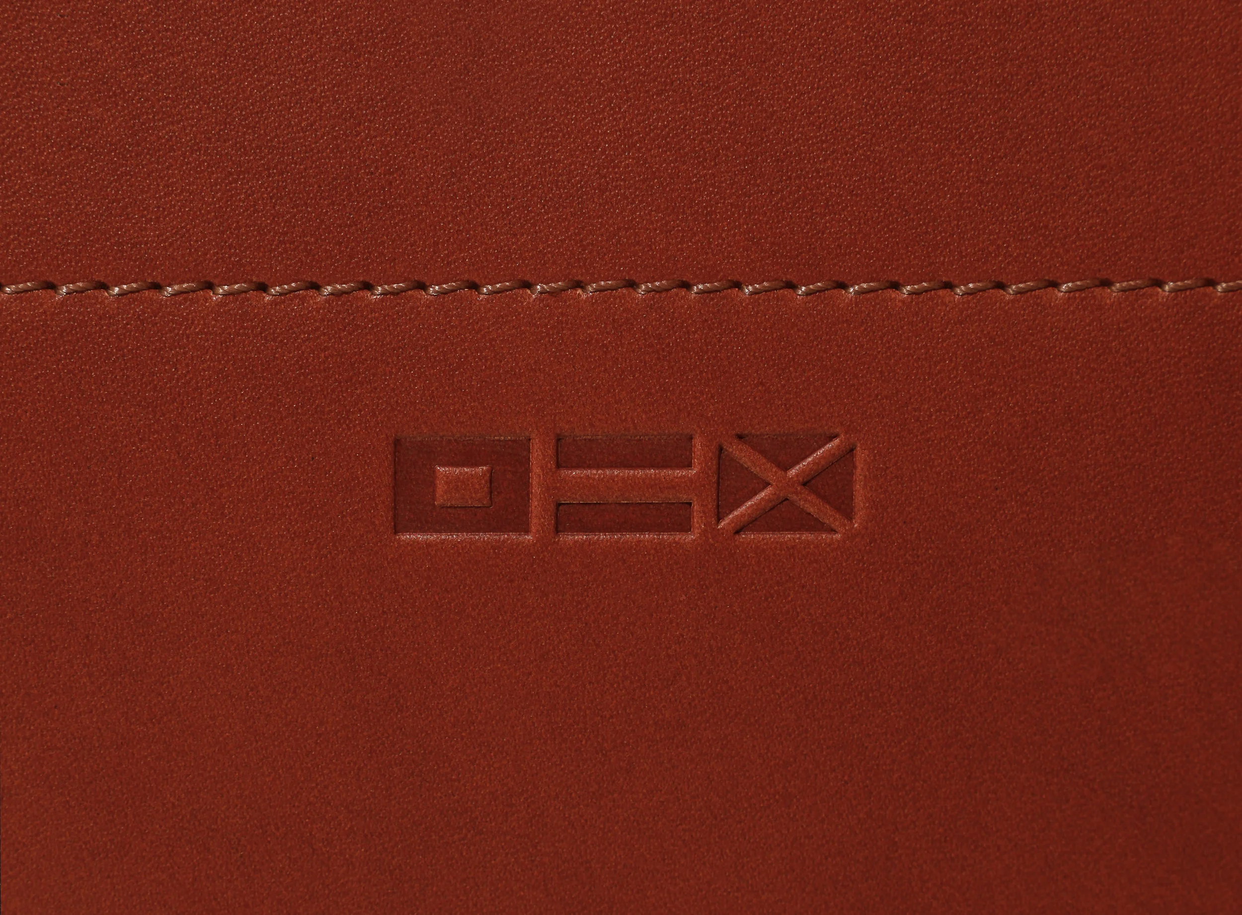 Insignia Tan 5570.jpg