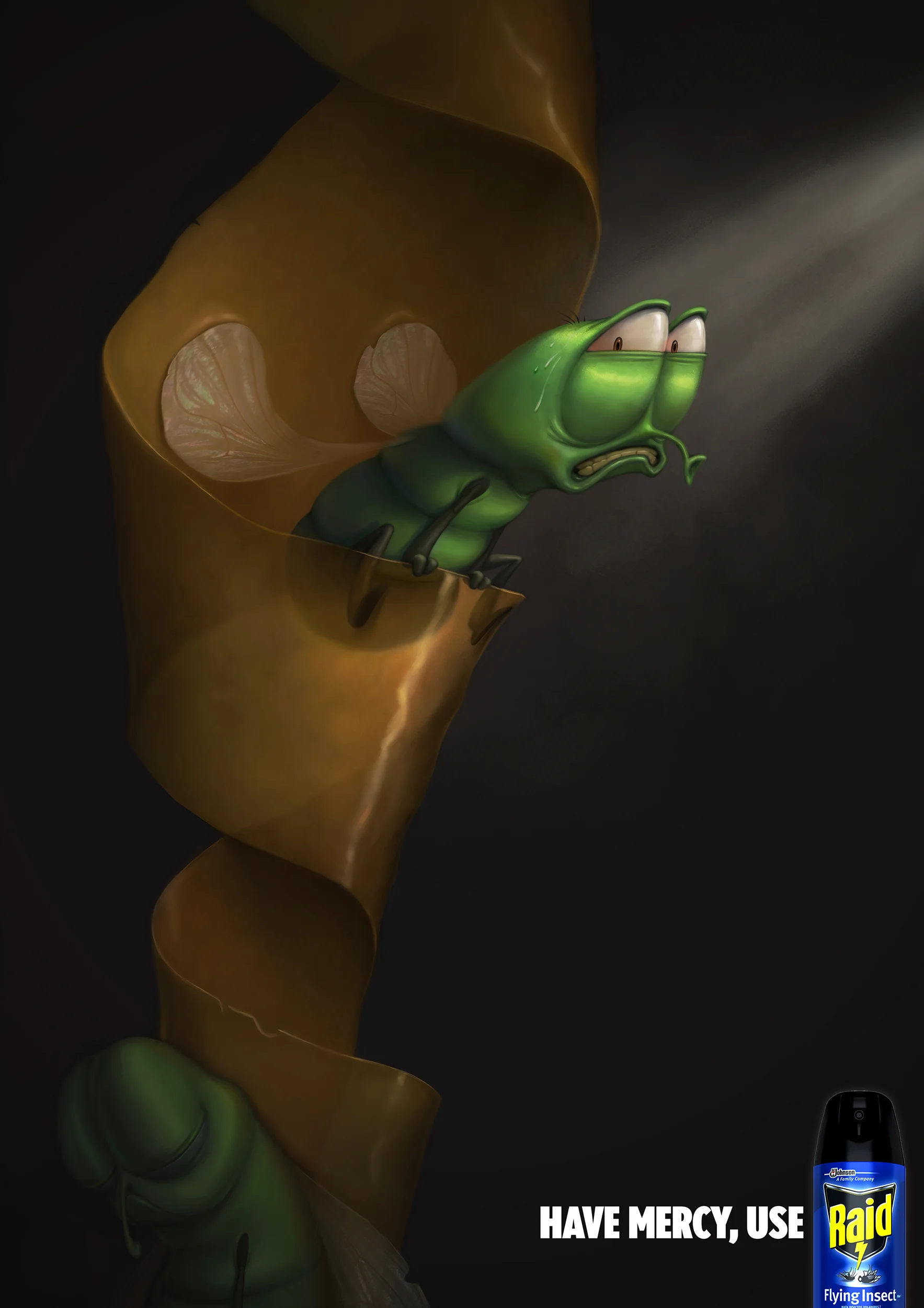 raid-1.jpg