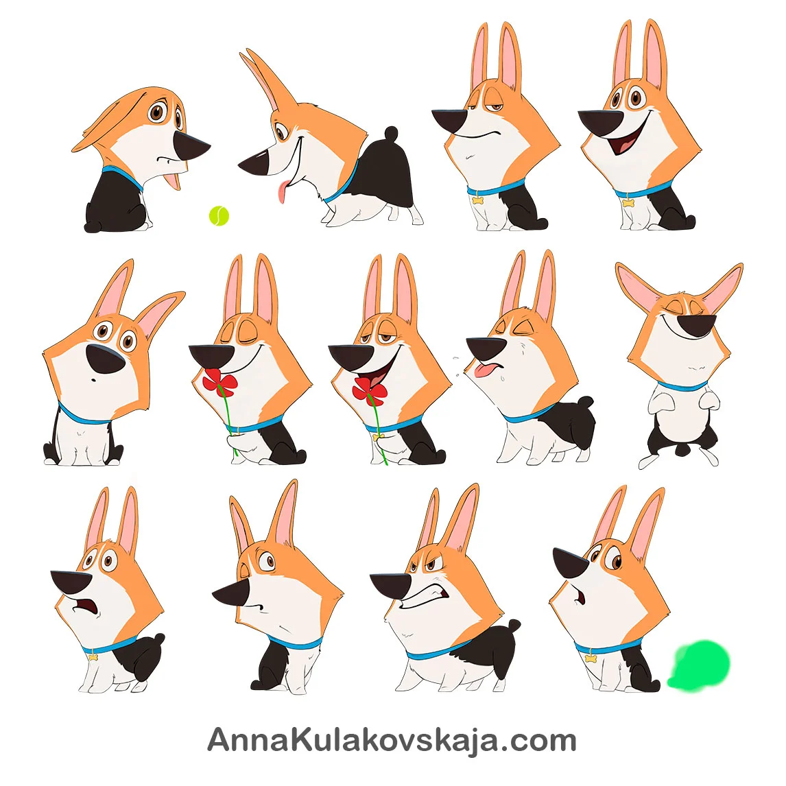 corgi.jpg