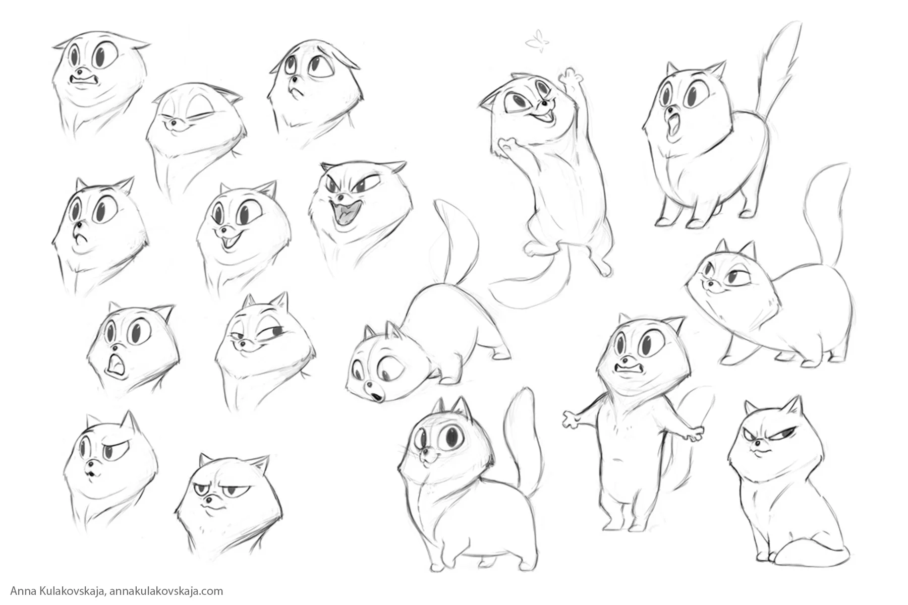 sheryl-cat.jpg