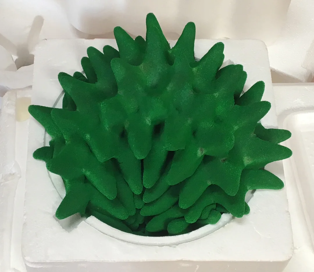 plant detail.jpg