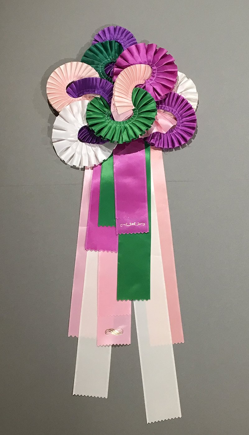  reclaimed award ribbons, 18” x 9” x 1.5” 