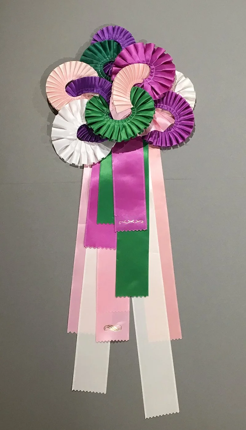 Awards and Trophies — Beth Krebs