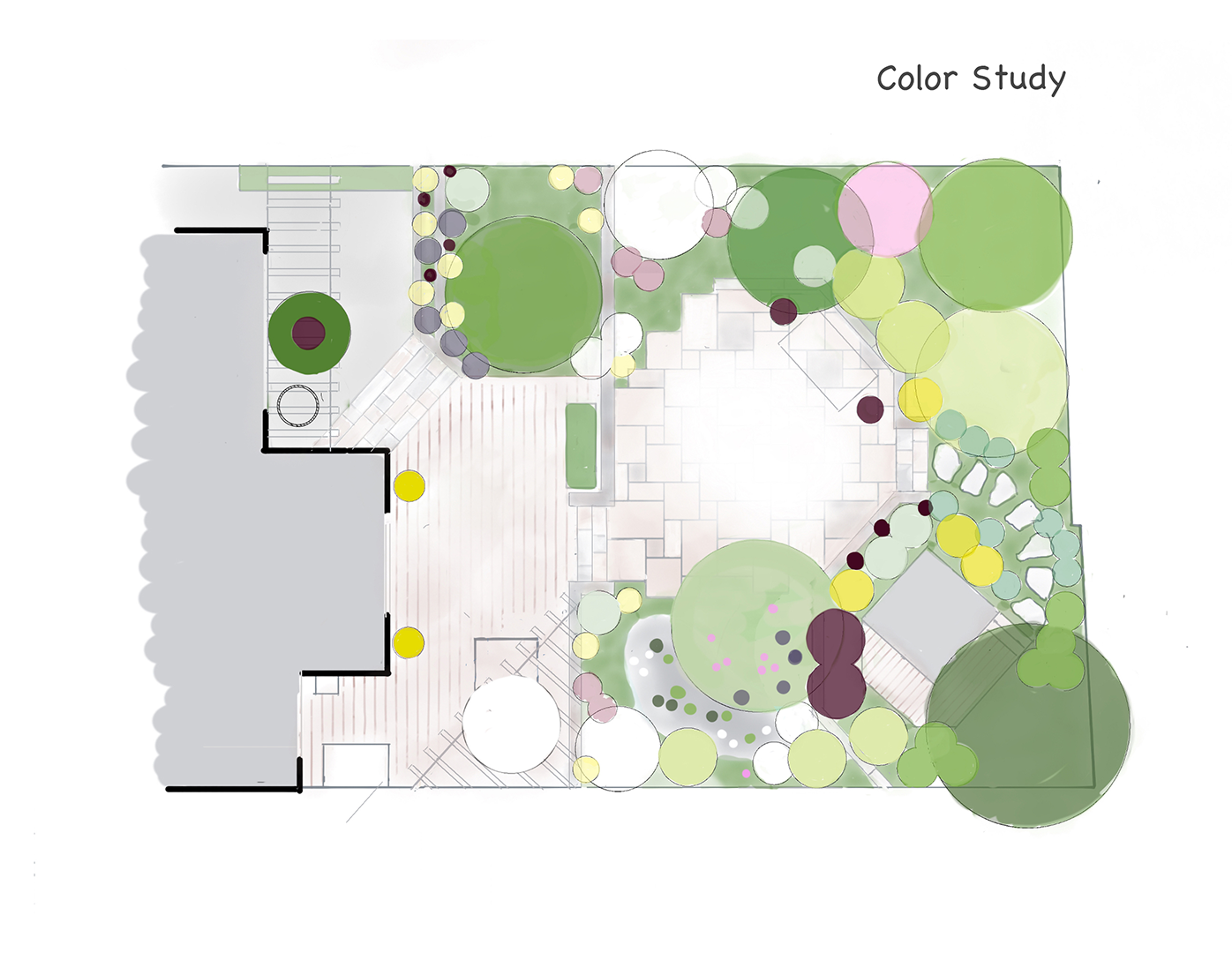 color studyweb.png