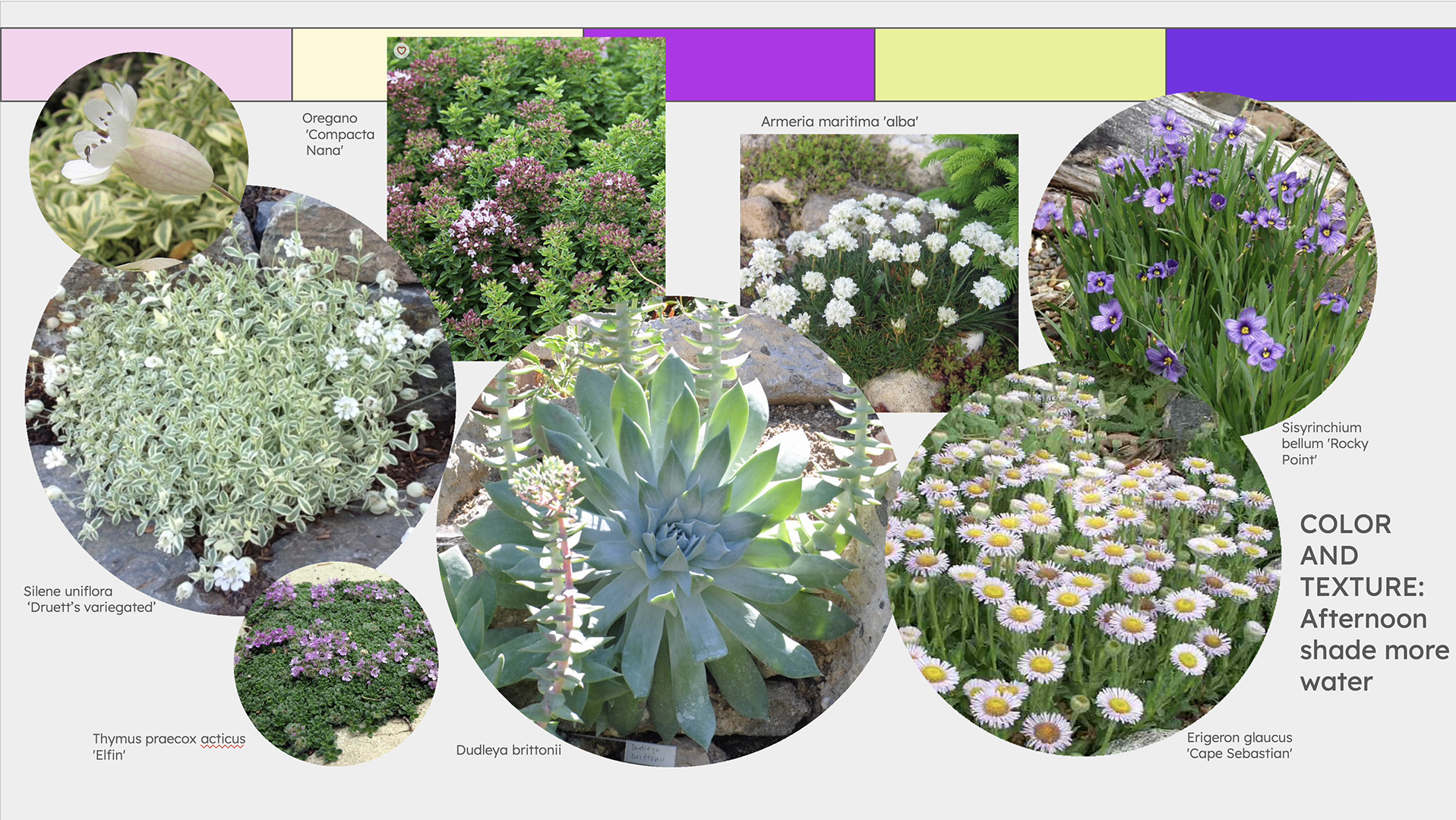 plant palette 2web.png