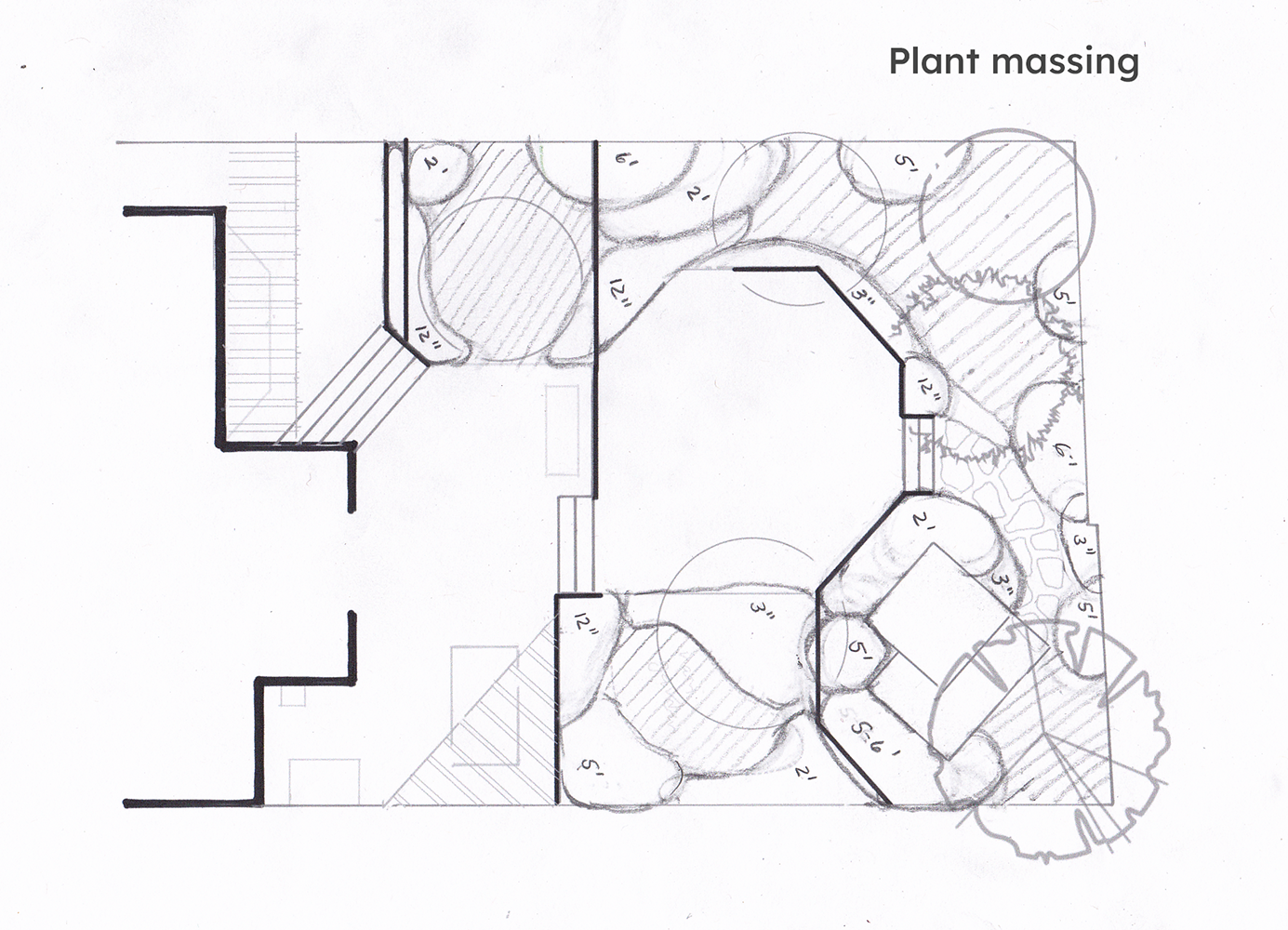 Marin Ave plant heights web.png