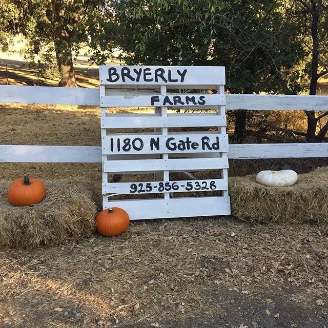 Starting with the autumn decorations around the barn! #equestriancenters