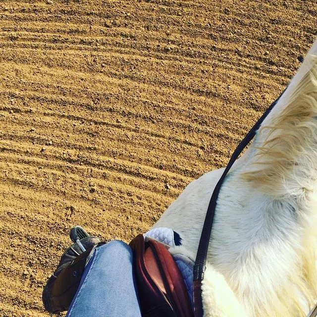 Rides before the rain #winteriscoming 🦄