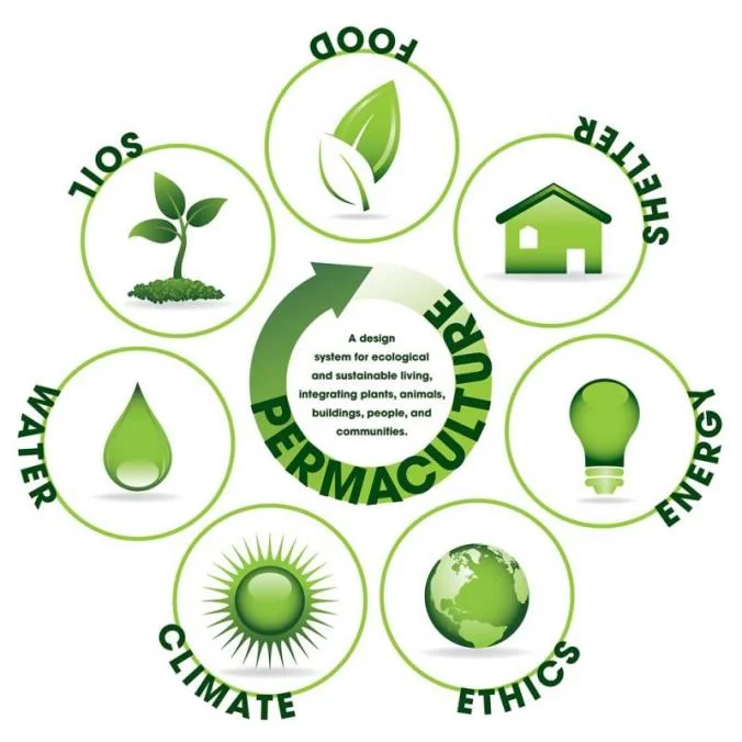 bryerly-permaculture-poster-1.jpg