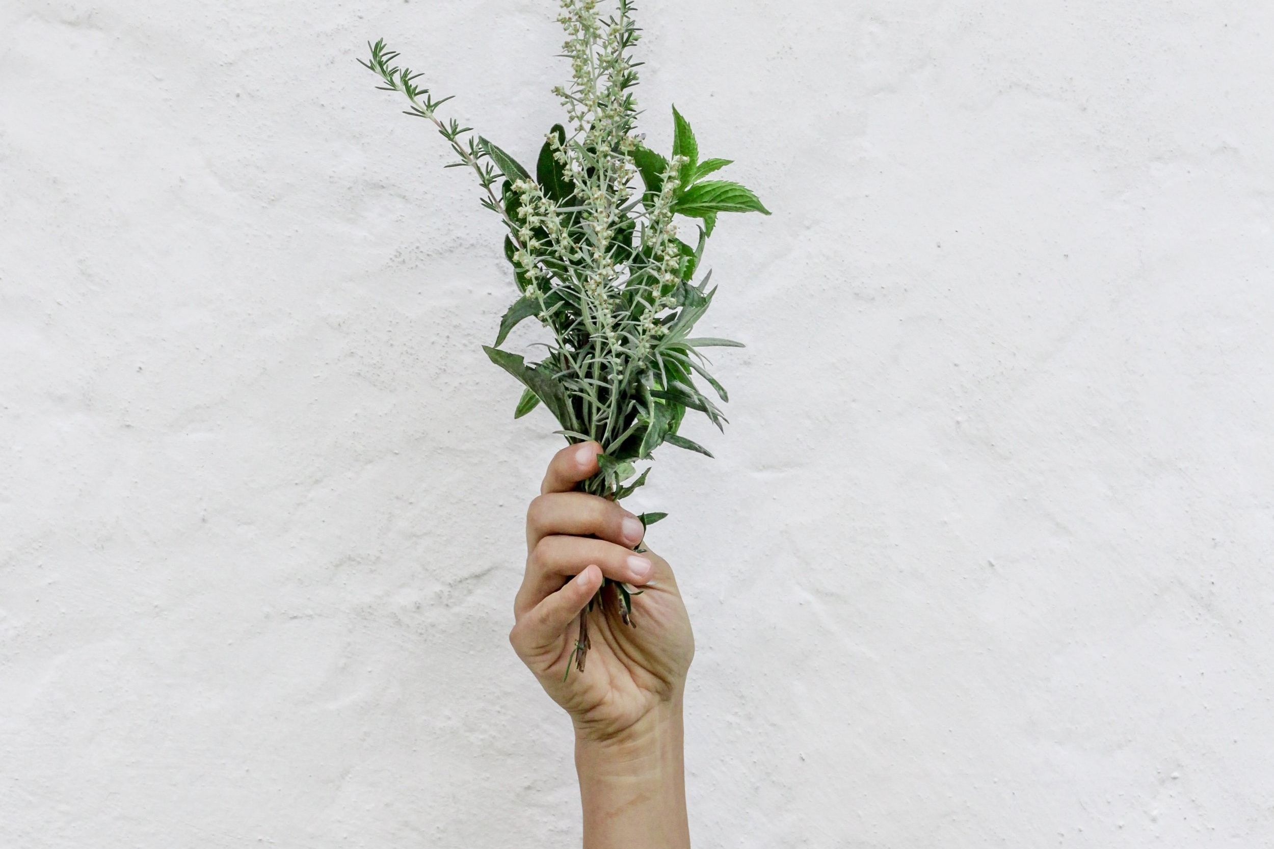 nordwood-themes-FnOoRU-PYio-unsplash.jpg