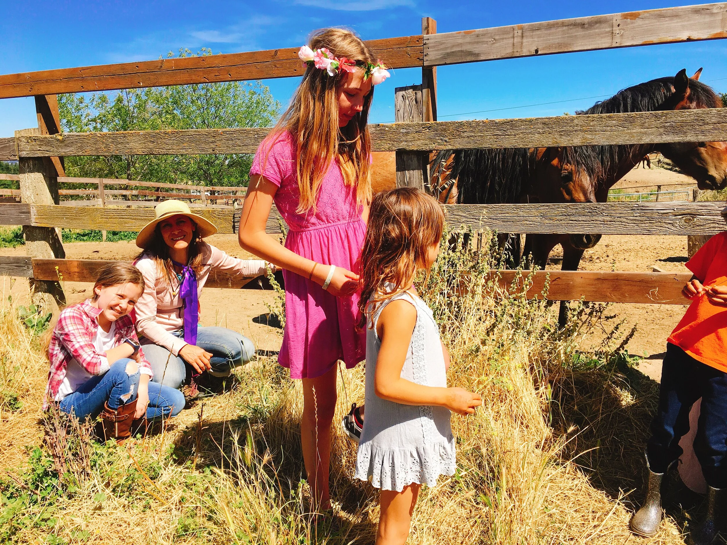 BRYERLY FARMS Meet and Feed the Horses.JPG