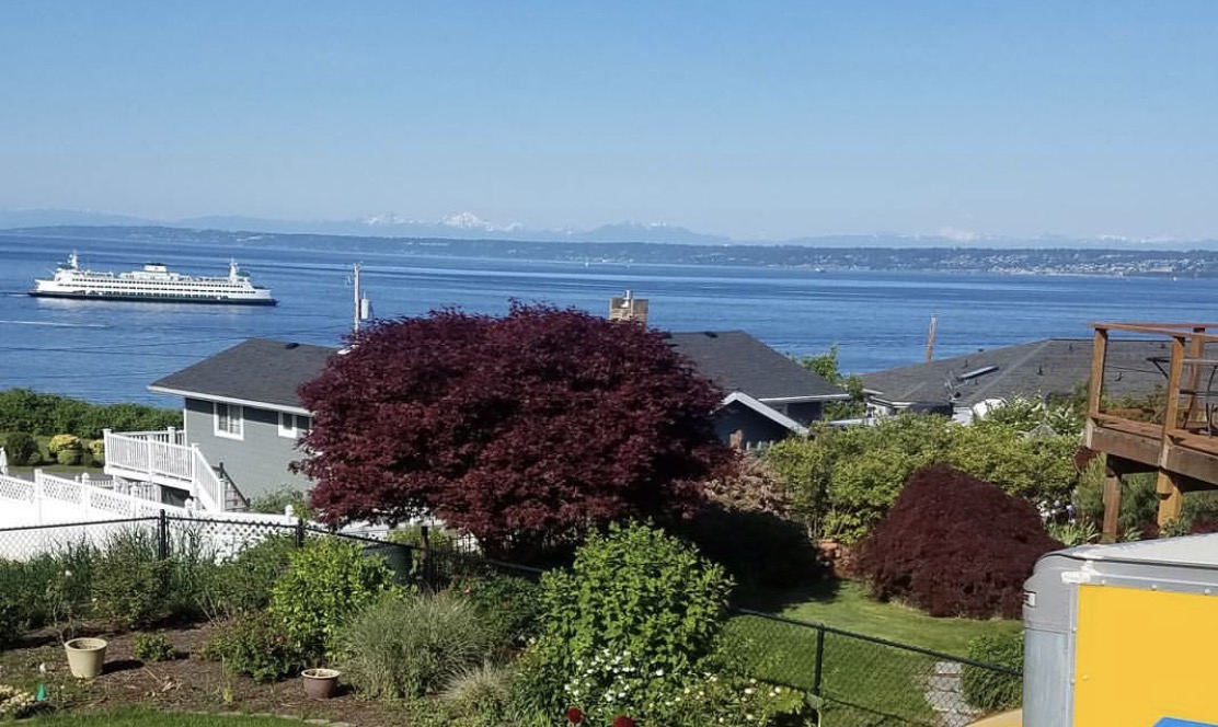 The view from our new home on move in day. 