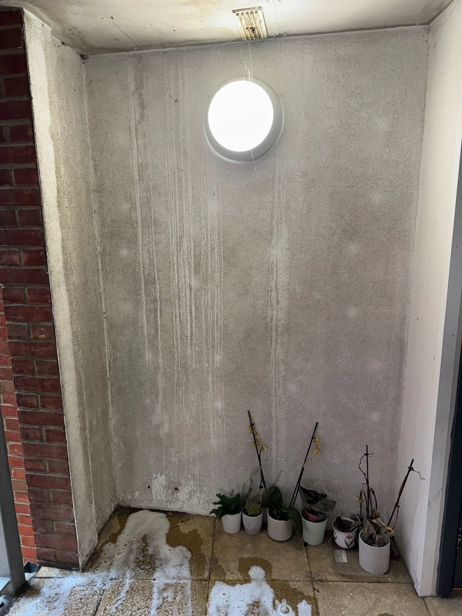 Render 3 before.jpeg