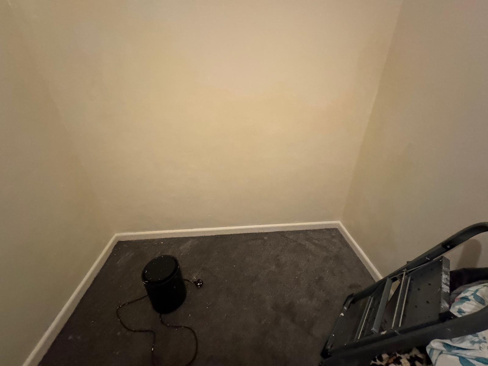 Mould Wall 2 after.jpeg