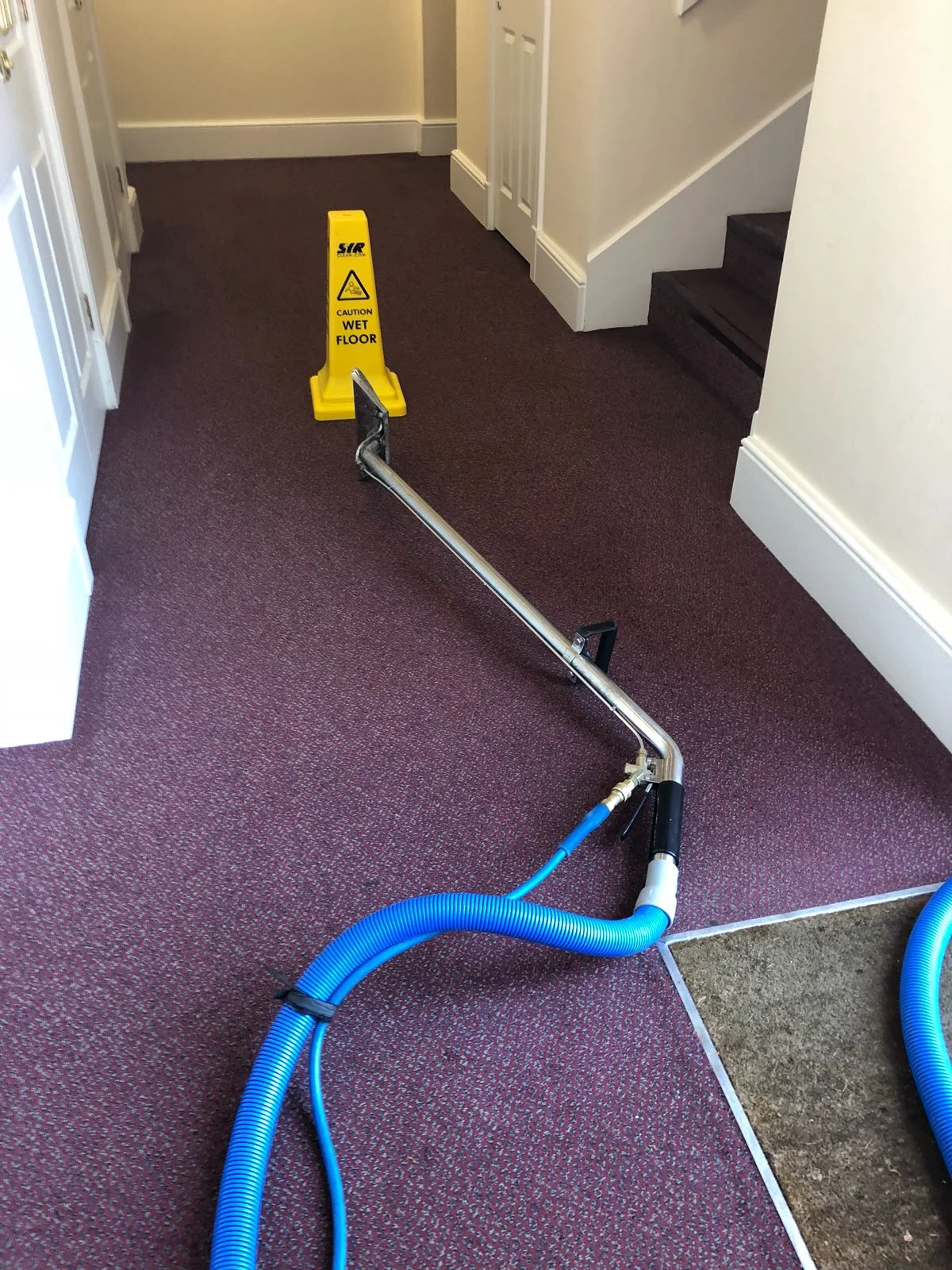 Purple carpet after.jpg