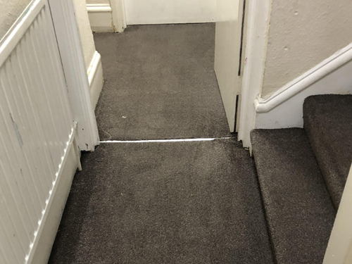 carpet2.jpg