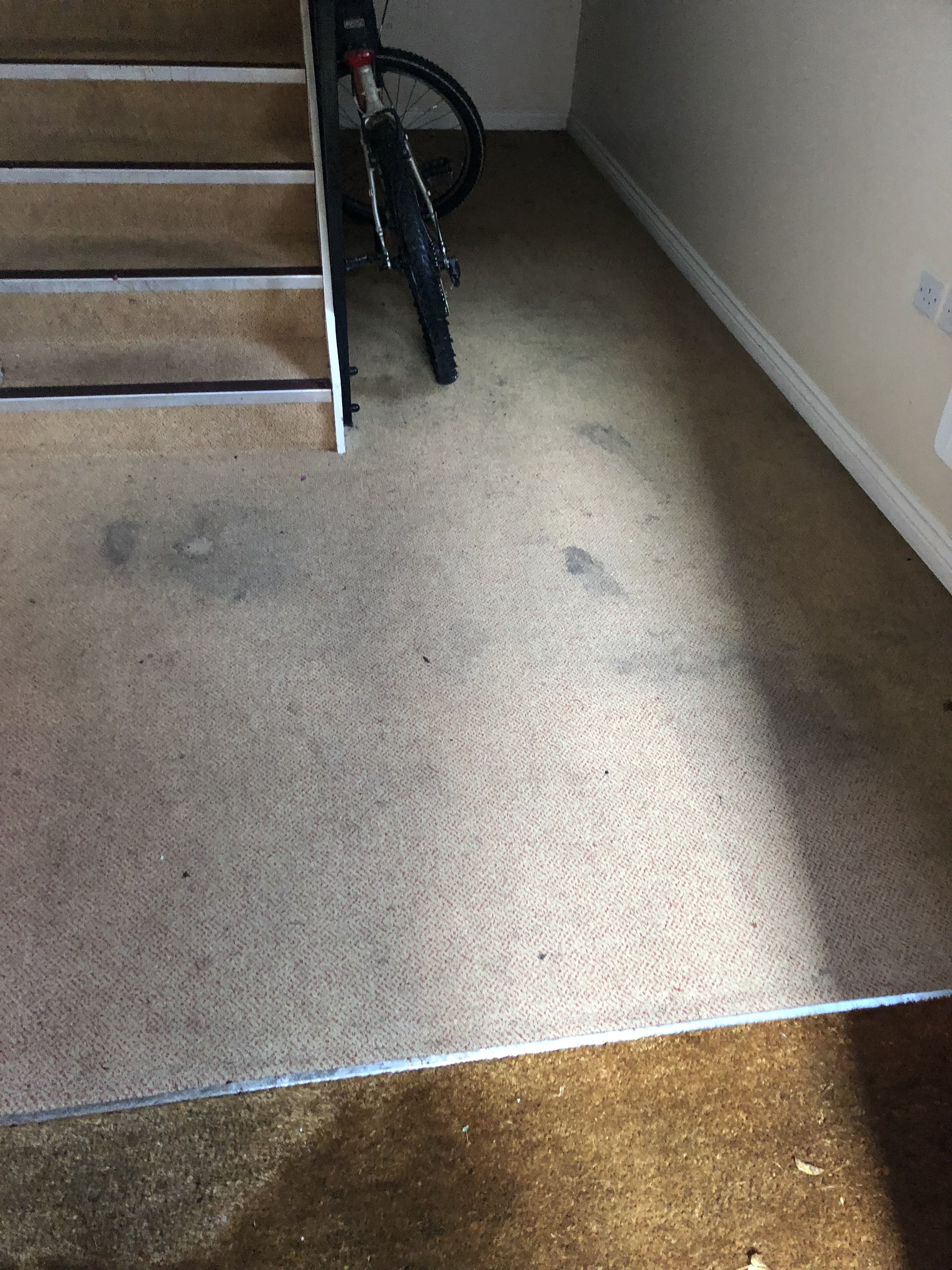 Carpet 7 before.jpg