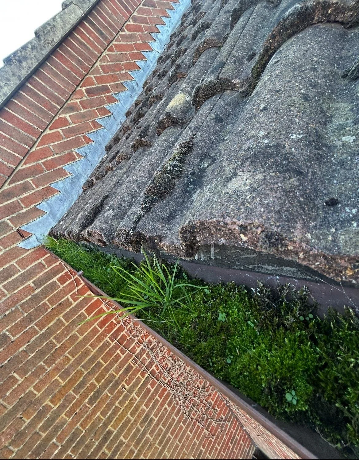 Gutter 3 grass before.jpeg